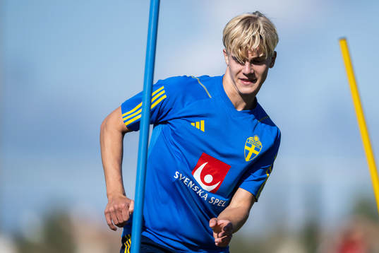 Lucas Bergvall of the Swedish men's football national team