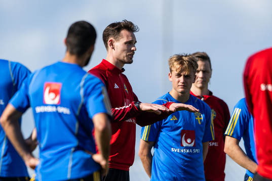 Interim coach Daniel Bäckström of the Swedish men's