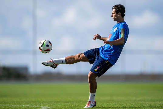 Kevin Ackermann of the Swedish men's football national team