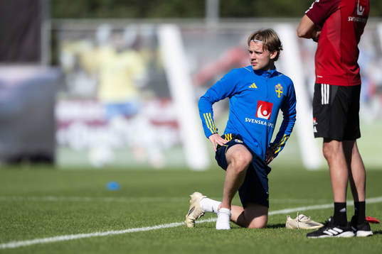 Oscar Pettersson of the Swedish men's football national