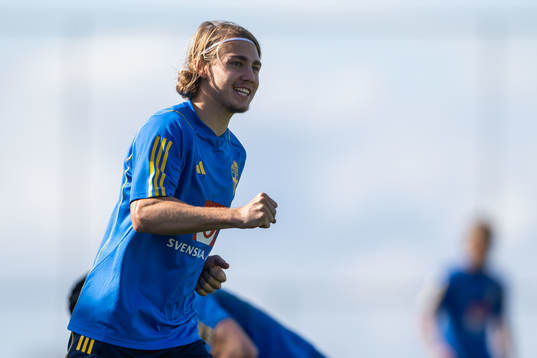 Sebastian Nanasi of the Swedish men's football national