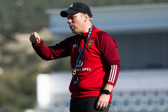 Interim assistant coach Viktor Eriksson of the Swedish