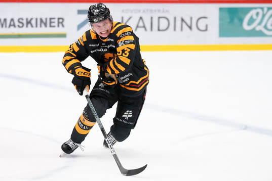 Skellefteås Zeb Forsfjäll