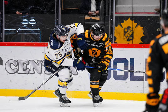 HV71s Radan Lenc och Skellefteås Oskar Nilsson