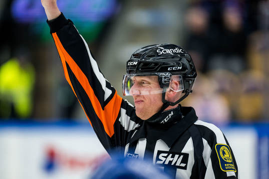 Domare Mikael Holm