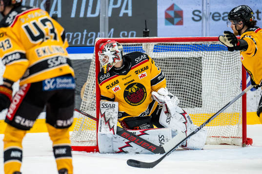 Luleås målvakt Matteus Ward