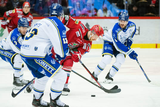 Leksands Riley Woods