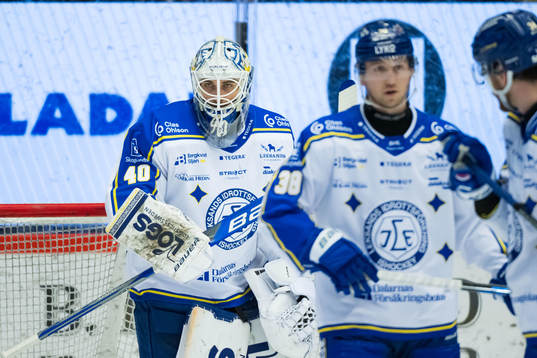 Leksands målvakt Mantas Armalis