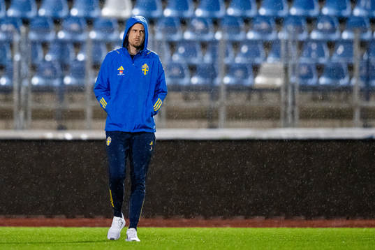 Interim coach Daniel Bäckström of Sweden