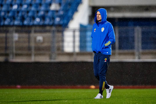 Interim coach Daniel Bäckström of Sweden