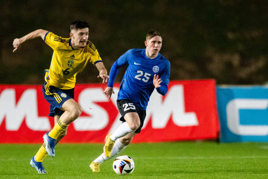 Armin Gigovic of Sweden and Ramol Sillamaa of Estonia