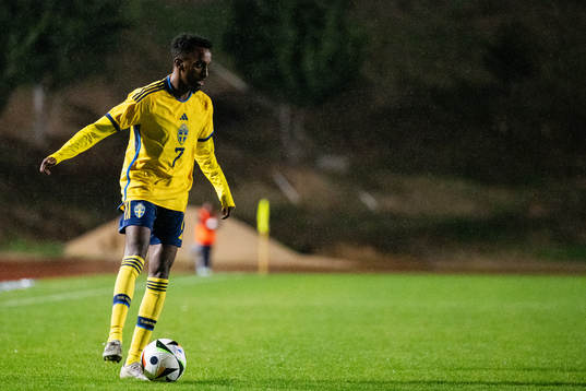 Taha Ali of Sweden