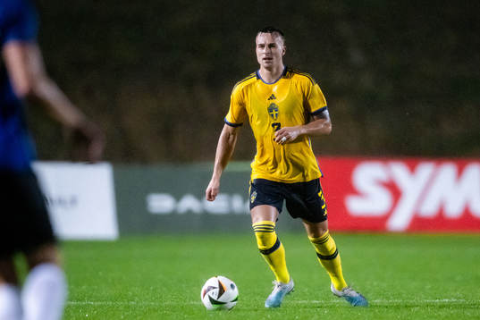 Henrik Castegren +sduring the international friendly