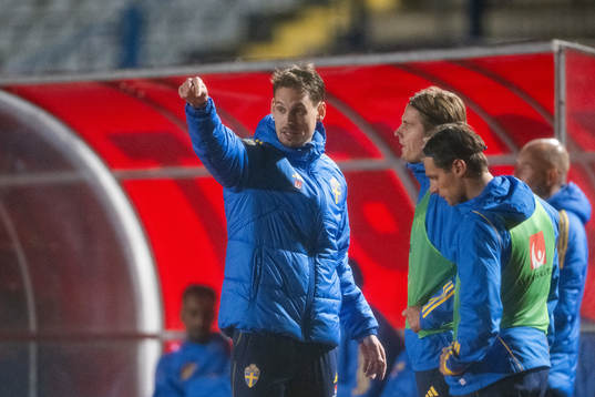 Interim Head coach Daniel Bäckström of Sweden