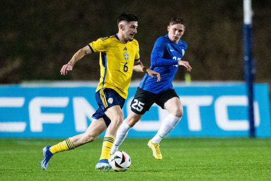 Armin Gigovic of Sweden and Ramol Sillamaa of Estonia