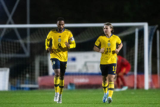 Isaac Kiese Thelin and Sebastian Nanasi of Sweden