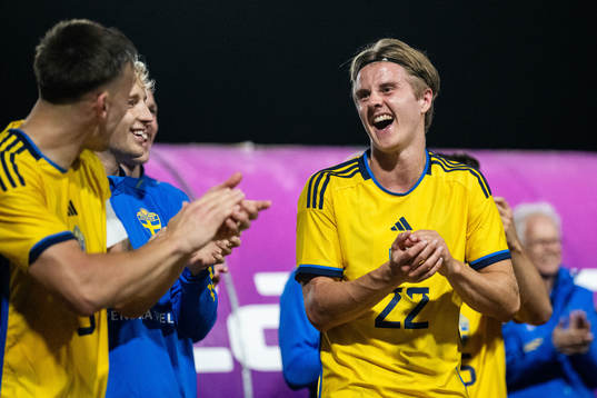 Henrik Castegren and Erik Ahlstrand of Sweden celebrate