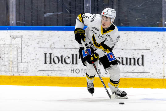Västerås Ludvig Östman