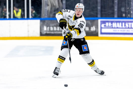 Västerås Elias Pettersson