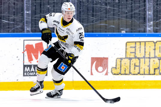 Västerås Elias Pettersson