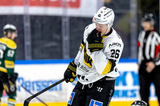Västerås Elias Pettersson