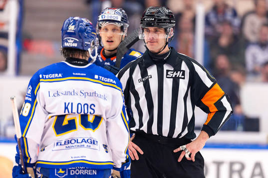 Domare Richard Magnusson