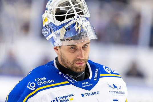 Leksands målvakt Mantas Armalis deppar