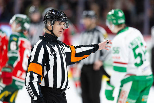Domare Mikael Andersson