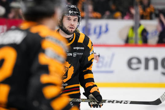 Skellefteås Martins Dzierkals