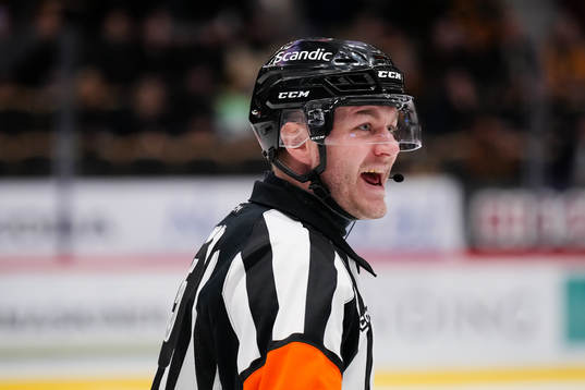 Domare Daniel Eriksson