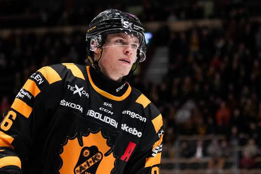 Skellefteås Rickard Hugg jublar