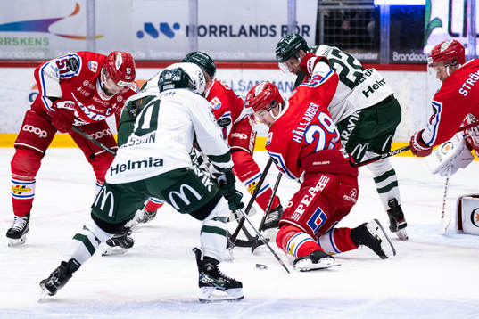 Timrås Filip Hållander