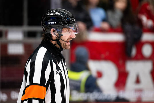 Domaren Mikael Sjöqvist