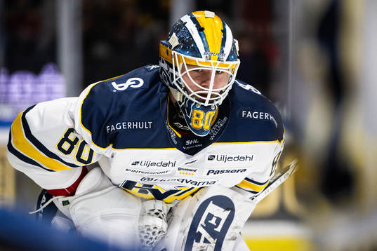 HV71s målvakt Frederik Dichow
