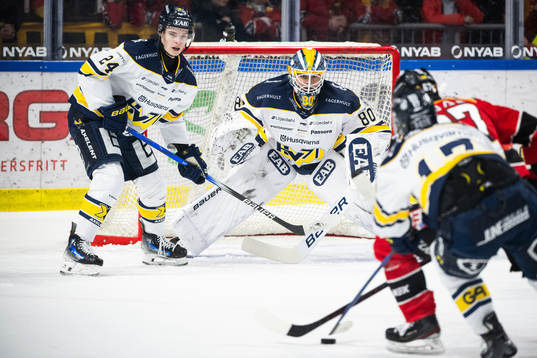 HV71s målvakt Frederik Dichow