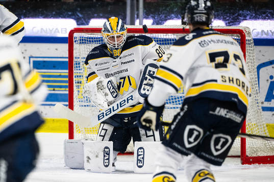 HV71s målvakt Frederik Dichow