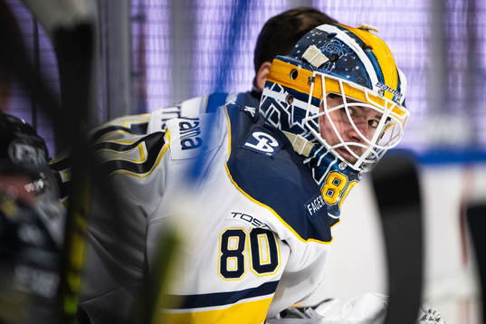 HV71s målvakt Frederik Dichow