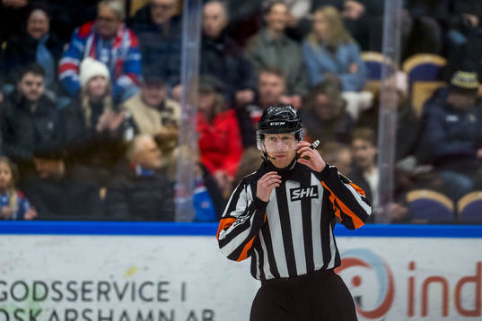 Domare Mikael Holm