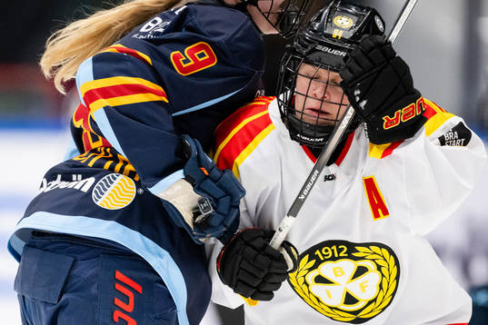 Brynäs Anna Meixner