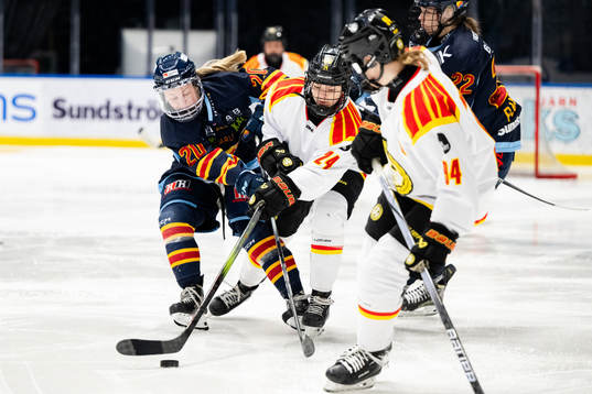 Djurgårdens Brette Pettet och Brynäs Sara Cajanova
