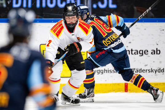 Brynäs Maja Nylen-Persson
