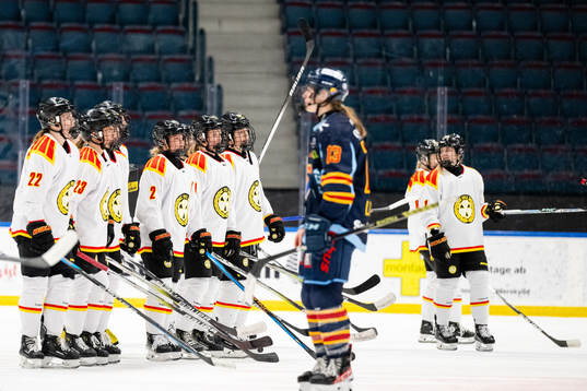 Brynäs spelare jublar