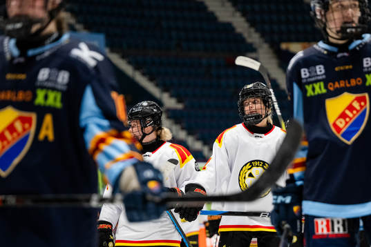 Brynäs Mina Waxin