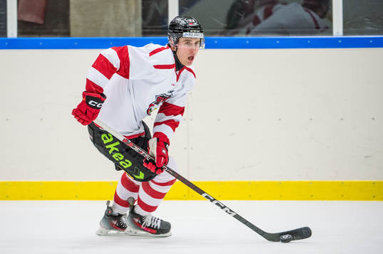 Bläddra bland fler bilder av Ishockey, SHL, Malmö Redhawks, Träning 