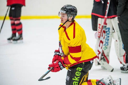 Malmö Redhawks Teemu Kivihalme