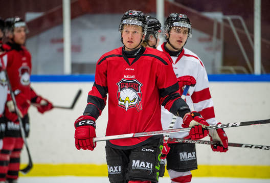 Malmö Redhawks Thomas Berg Paulsen