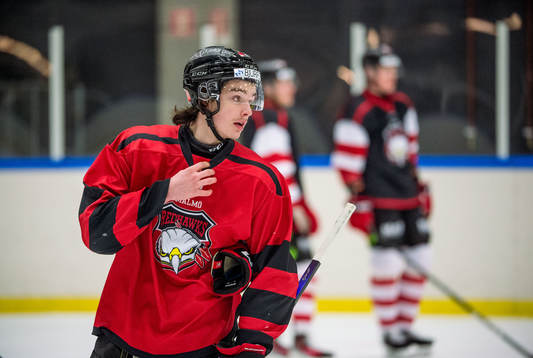 Malmö Redhawks Dominik Badinka
