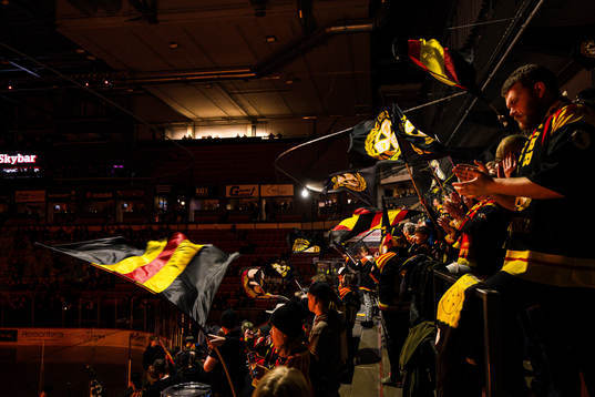 Brynäs supportrar