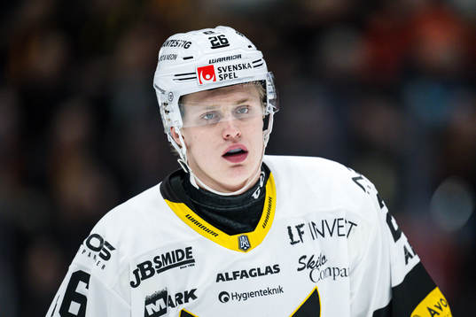 Västerås Elias Pettersson