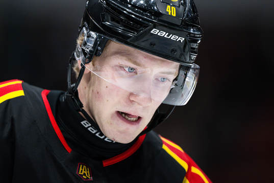 Brynäs Anton Ohlsson